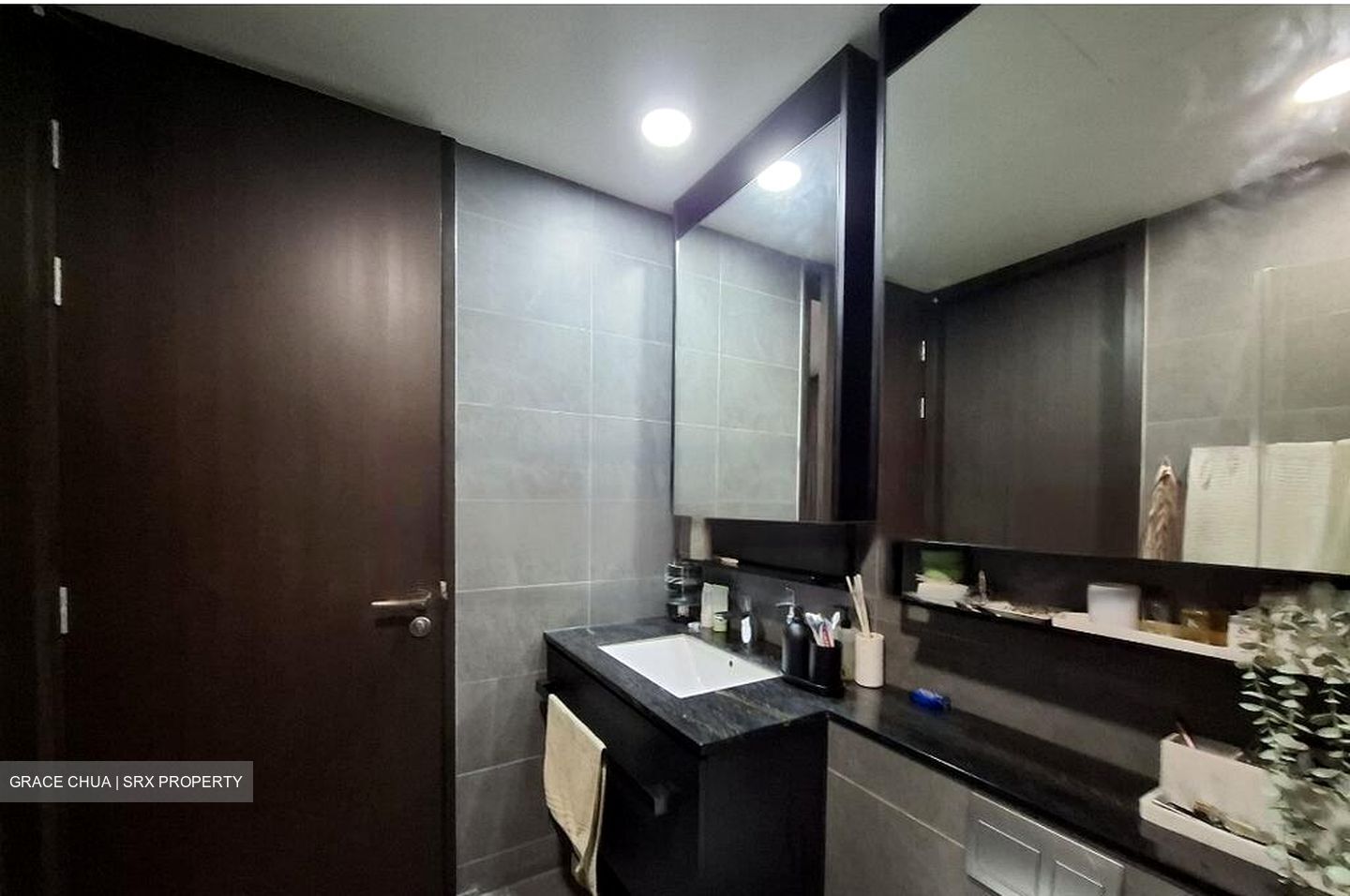 Park Colonial (D13), Condominium #458573201